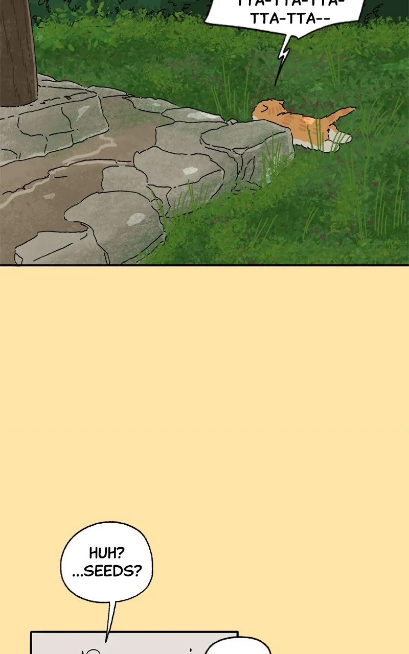Tata the Cat Chapter 23 page 47 - 