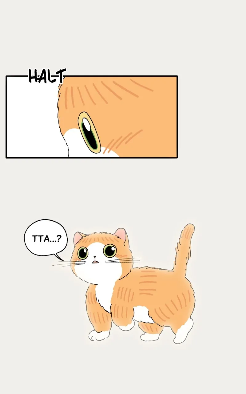 Tata the Cat Chapter 23 page 55 - 