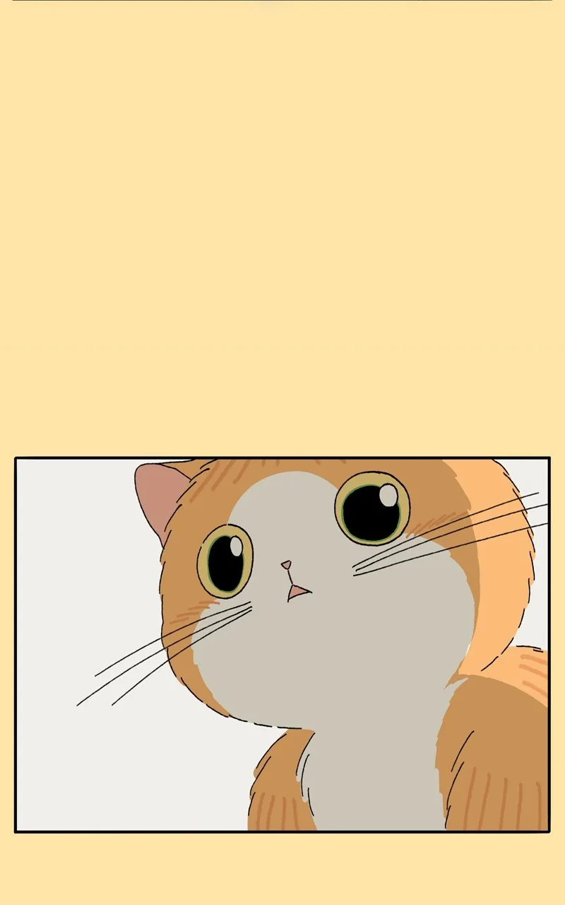 Tata the Cat Chapter 23 page 64 - 