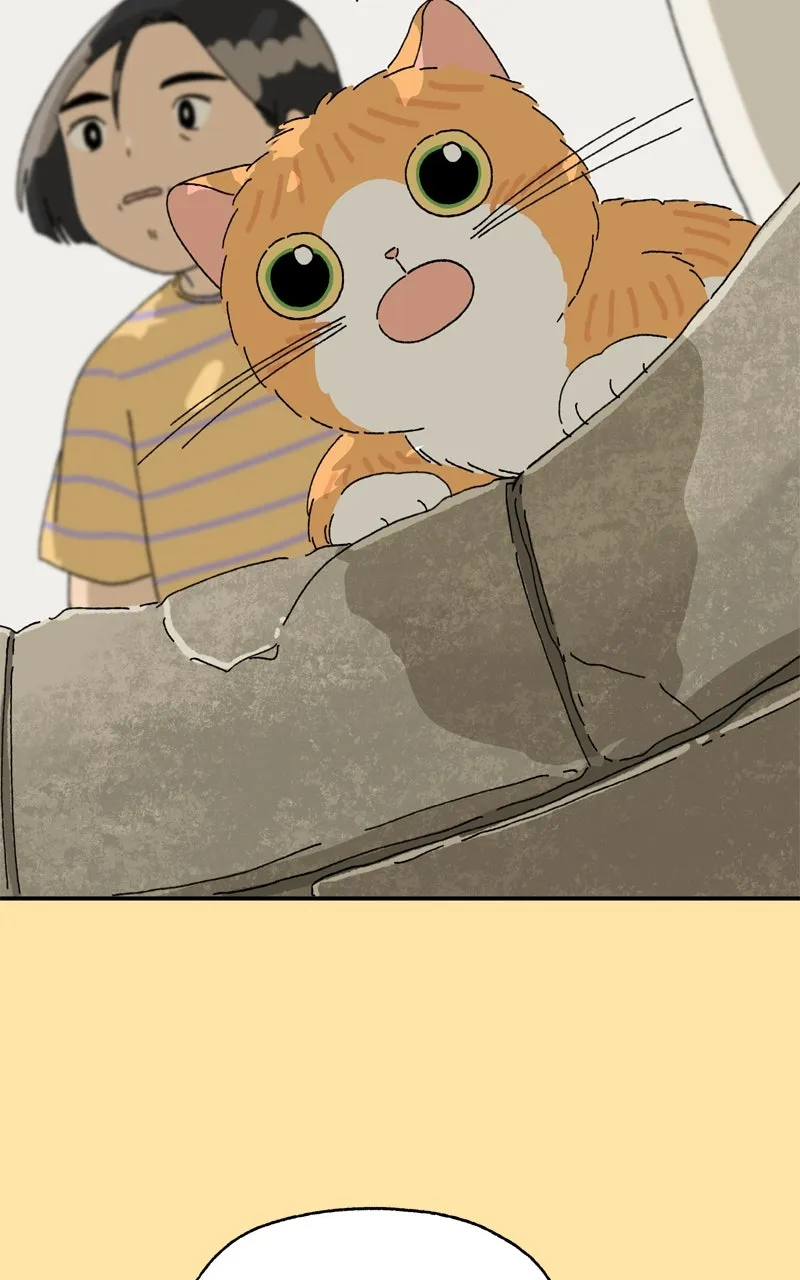 Tata the Cat Chapter 23 page 68 - 