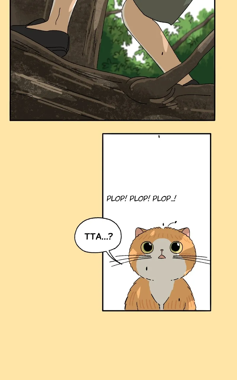 Tata the Cat Chapter 23 page 8 - 