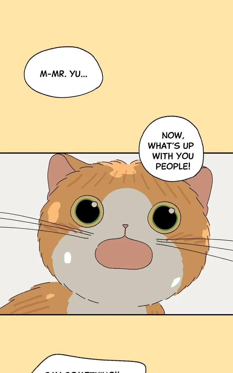 Tata the Cat Chapter 24 page 14 - 