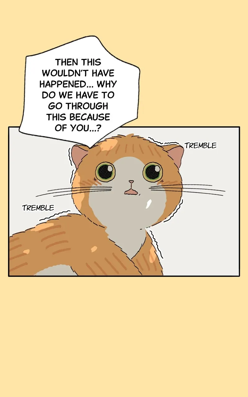 Tata the Cat Chapter 24 page 16 - 