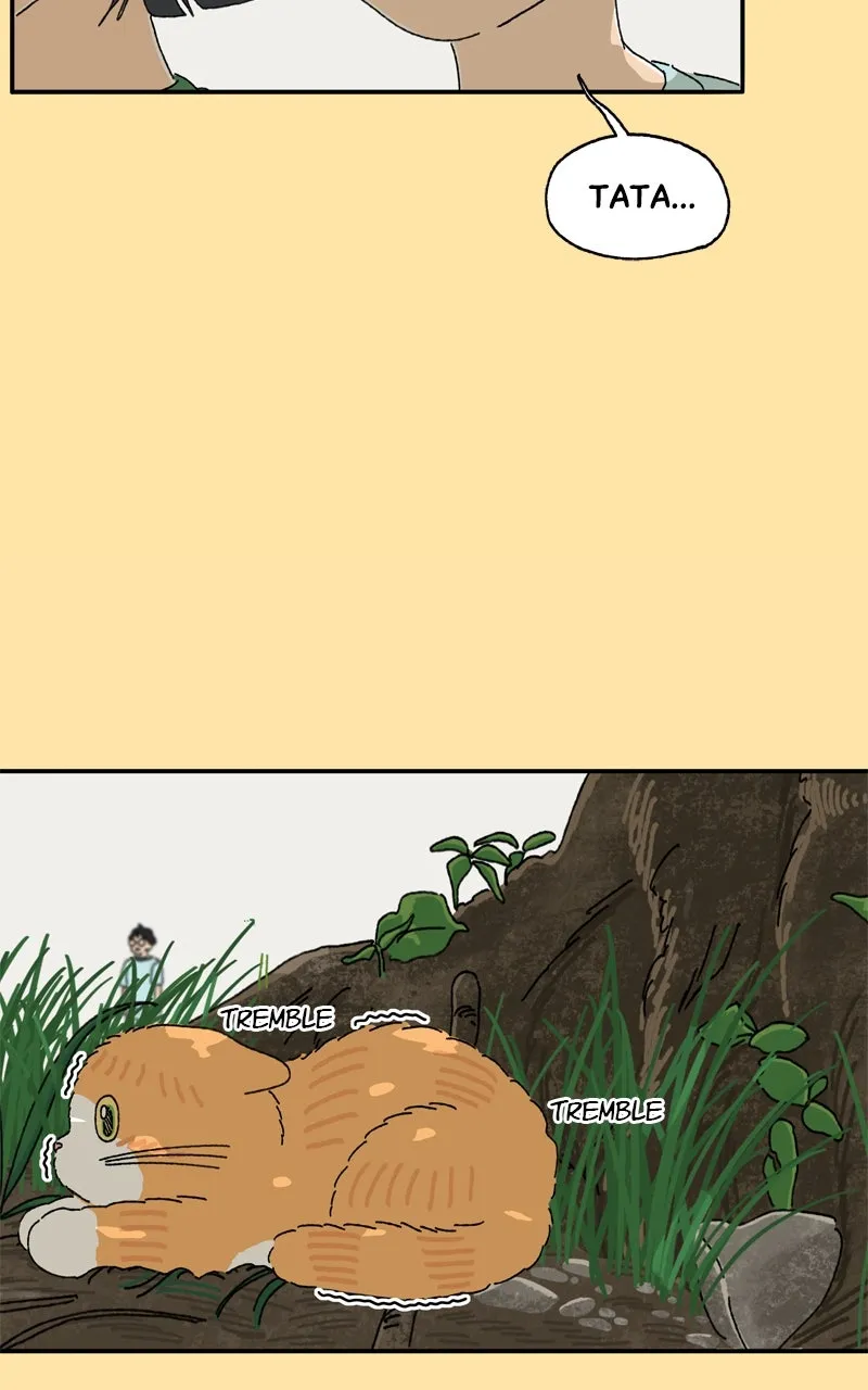Tata the Cat Chapter 24 page 18 - 