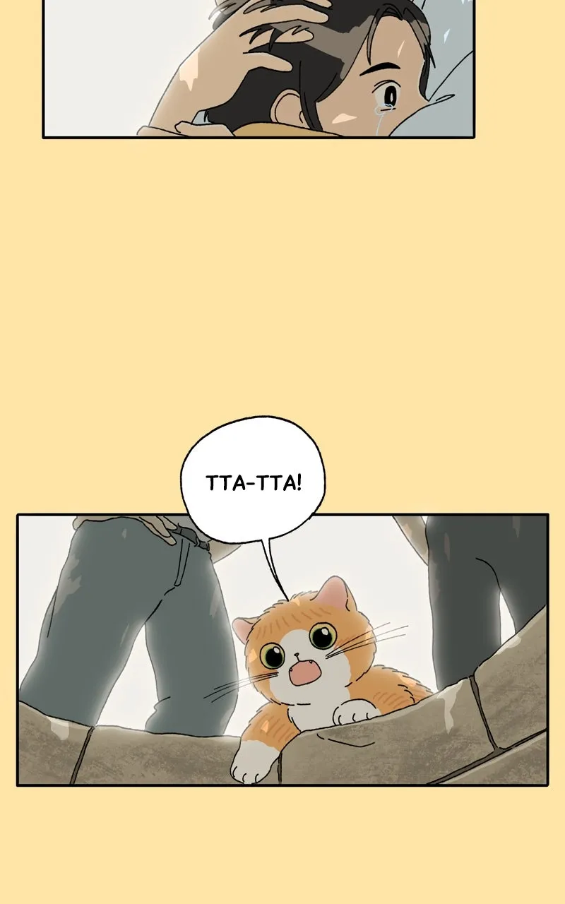 Tata the Cat Chapter 24 page 3 - 