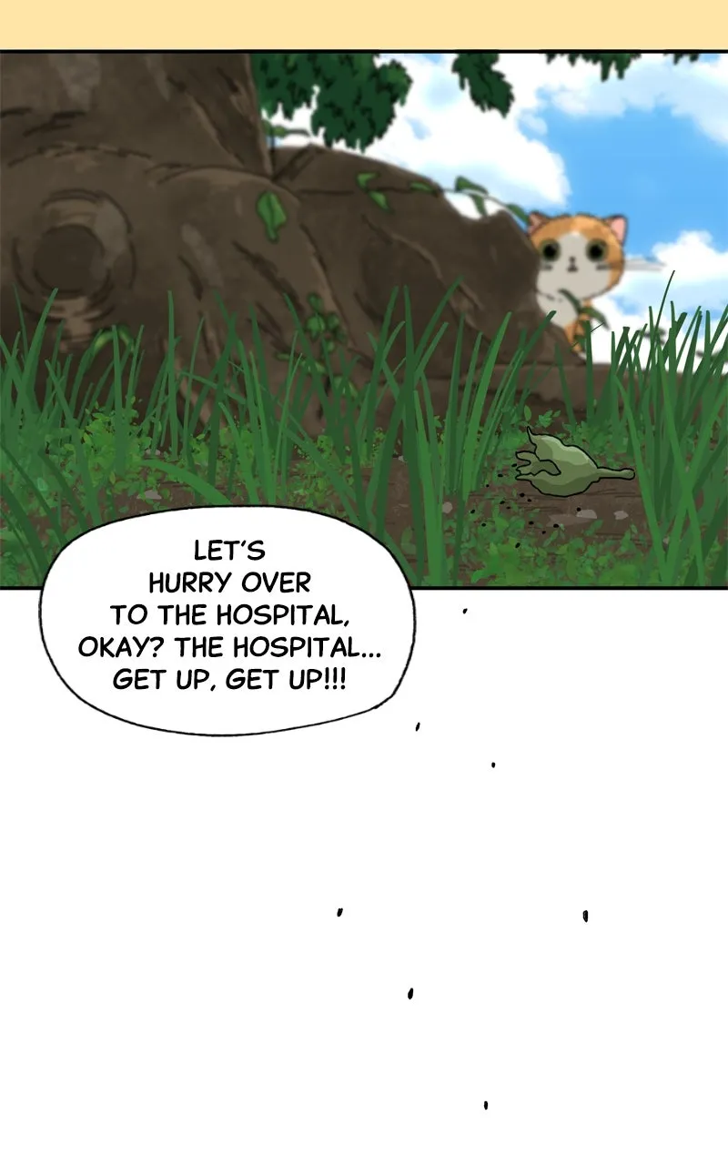 Tata the Cat Chapter 24 page 34 - 