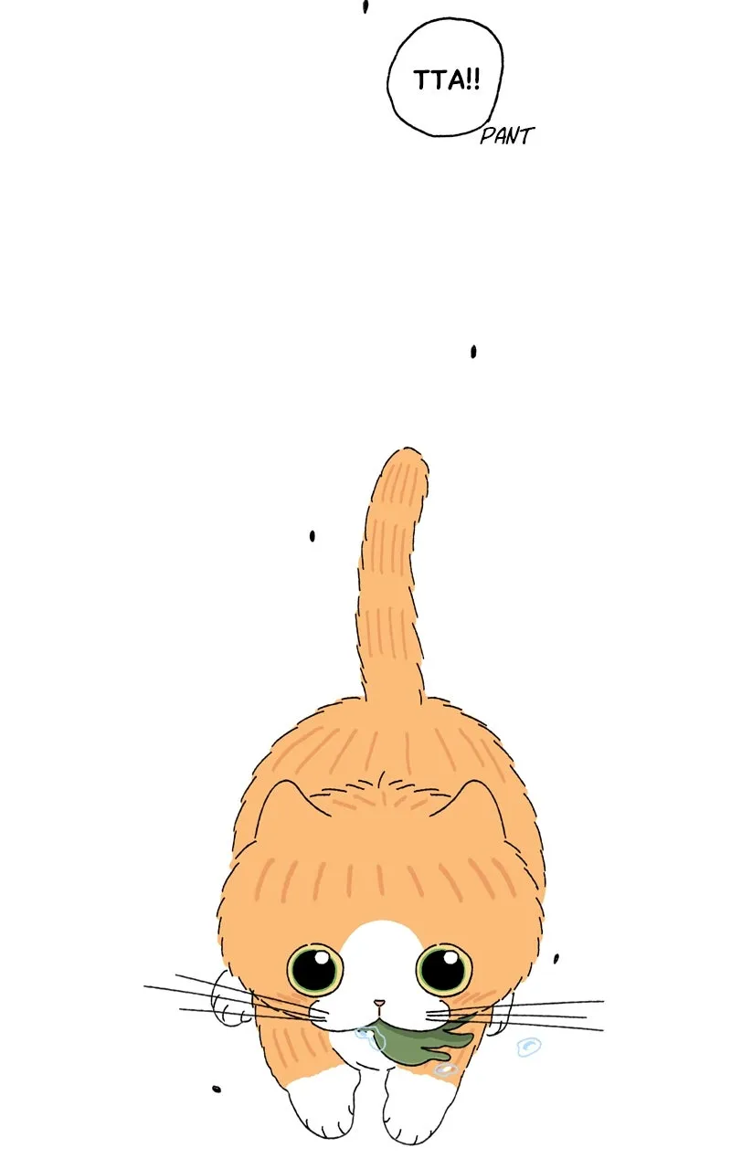 Tata the Cat Chapter 24 page 37 - 
