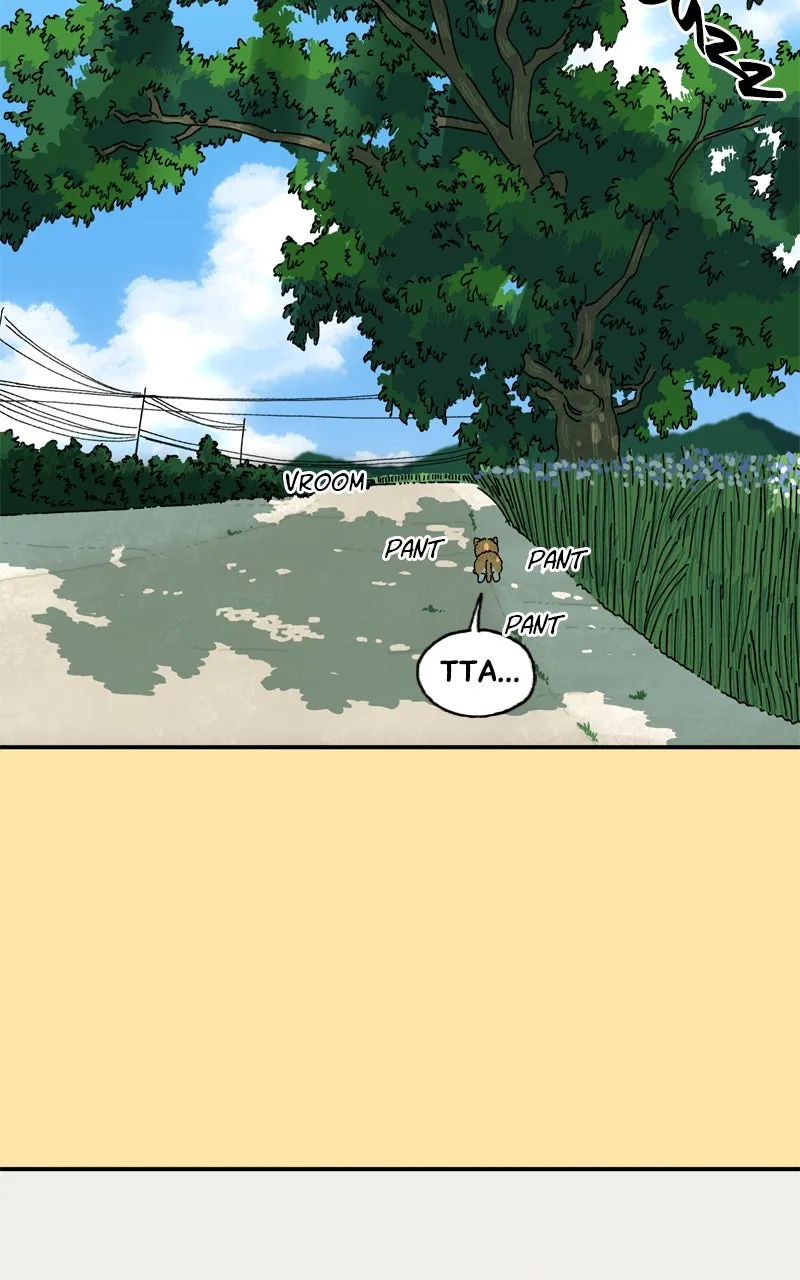 Tata the Cat Chapter 24 page 39 - 