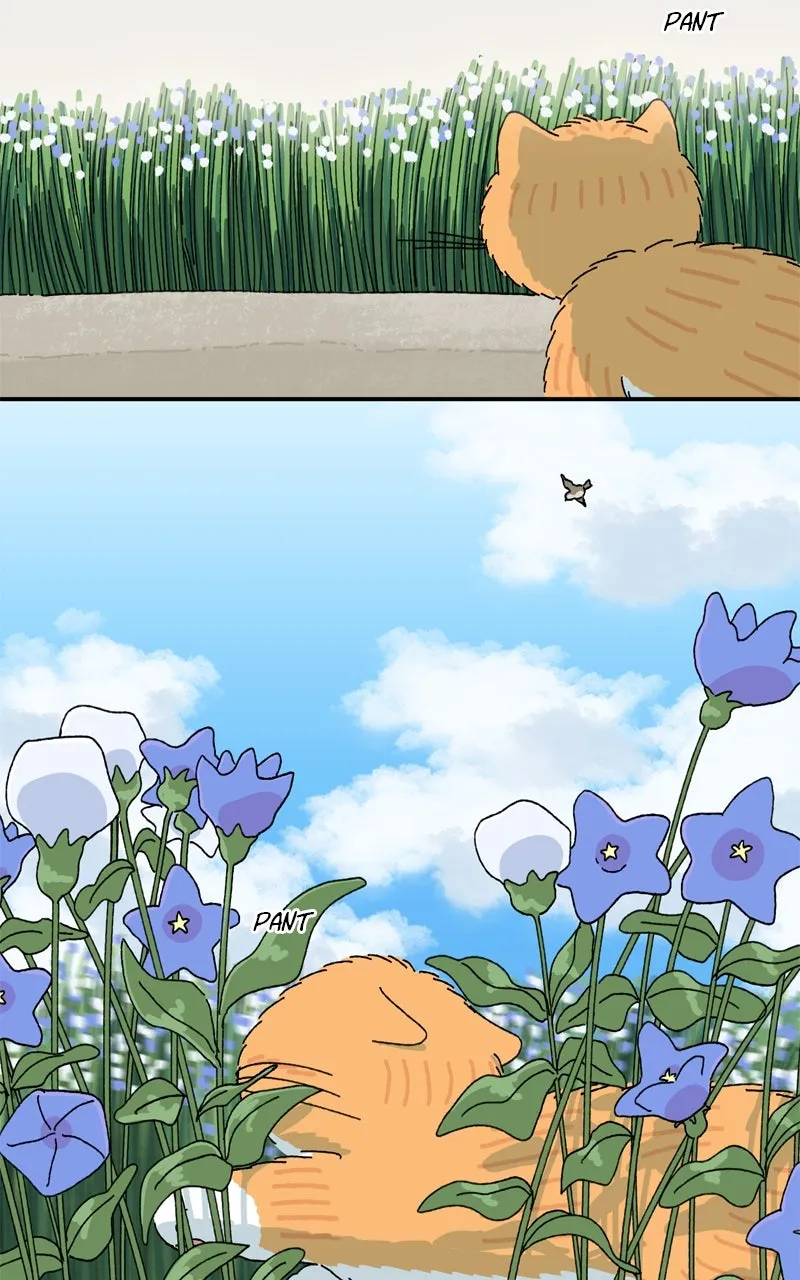 Tata the Cat Chapter 24 page 40 - 