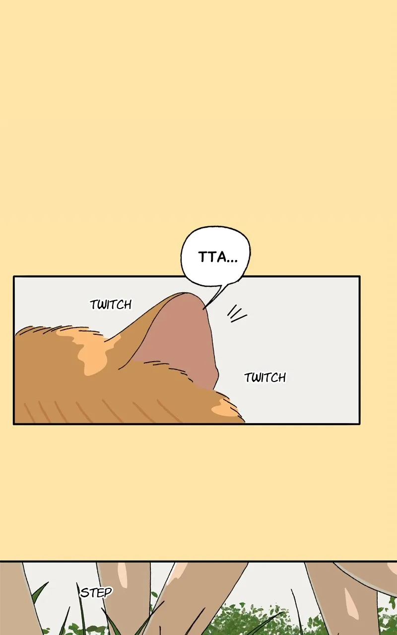 Tata the Cat Chapter 24 page 5 - 