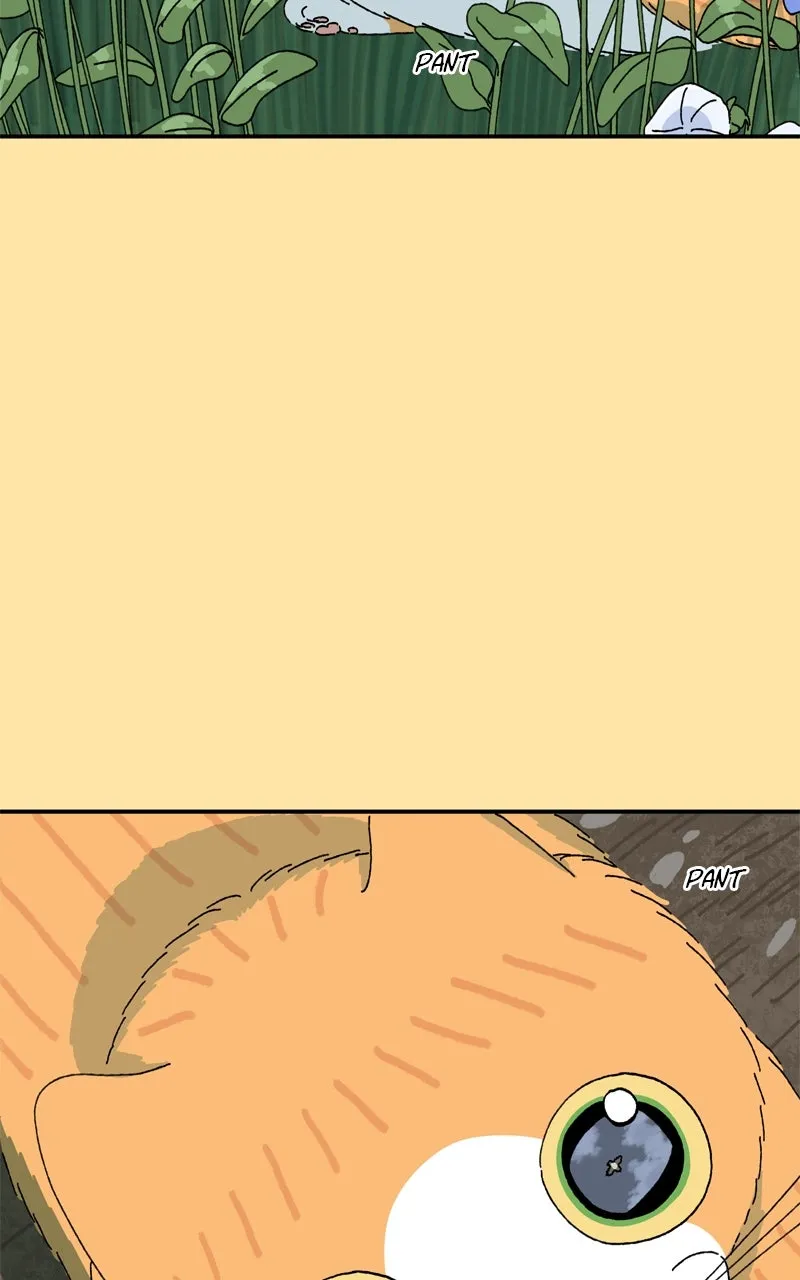 Tata the Cat Chapter 24 page 41 - 