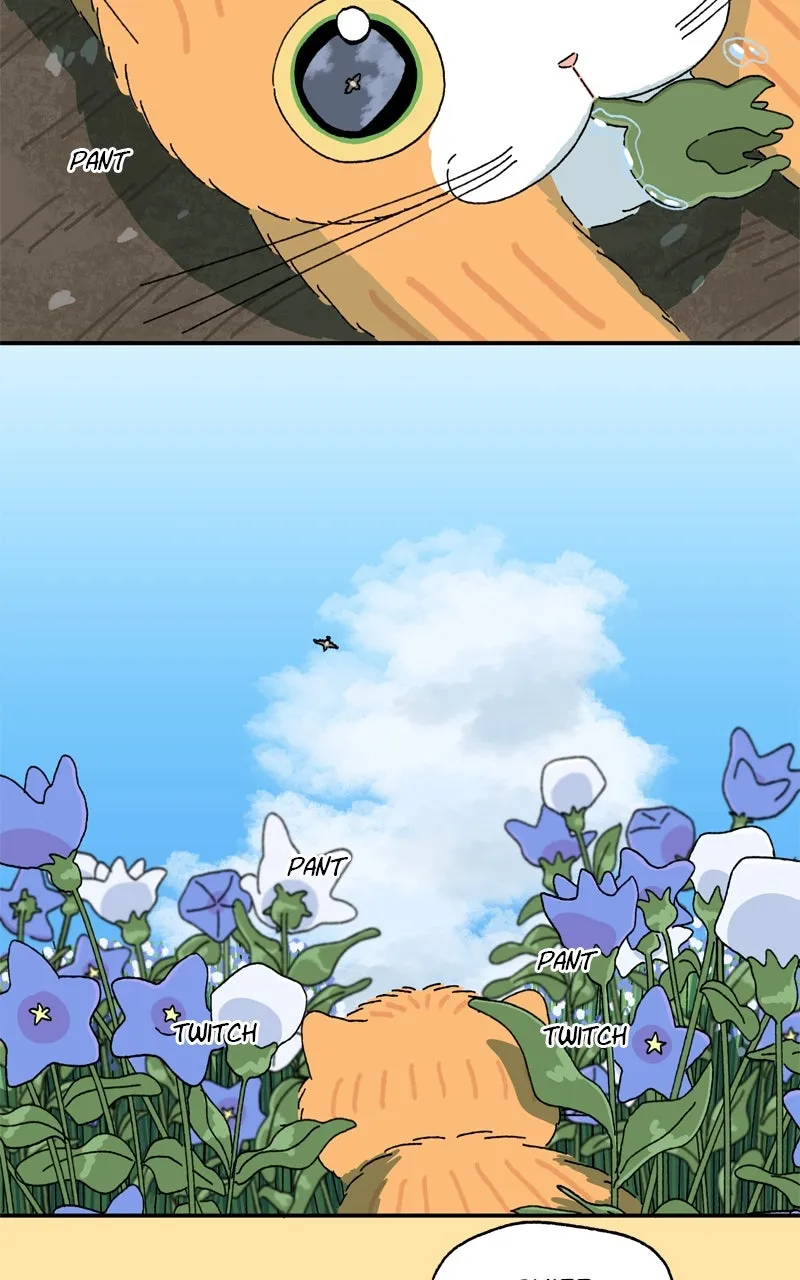 Tata the Cat Chapter 24 page 42 - 