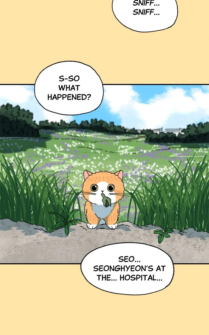 Tata the Cat Chapter 24 page 43 - 