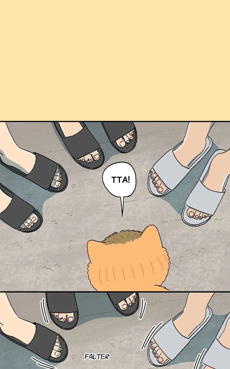 Tata the Cat Chapter 24 page 45 - 