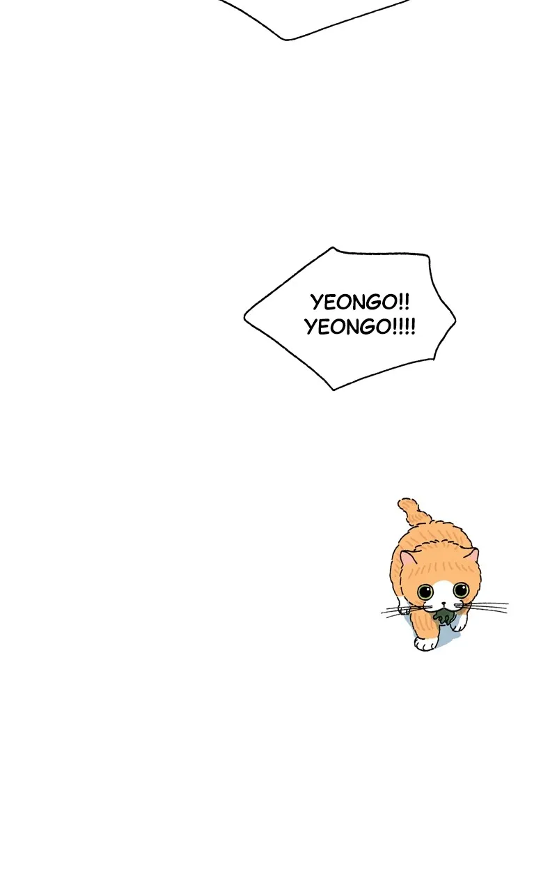 Tata the Cat Chapter 24 page 49 - 