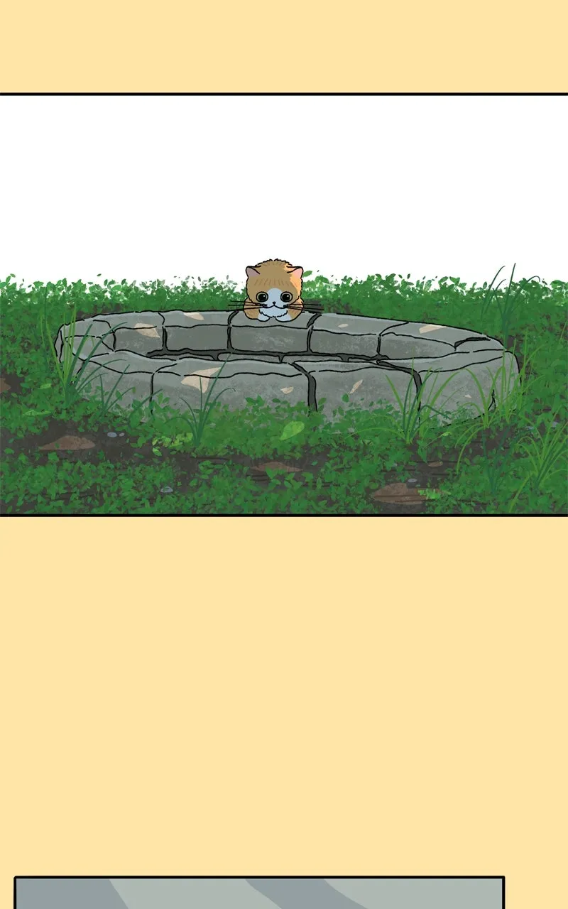 Tata the Cat Chapter 24 page 55 - 