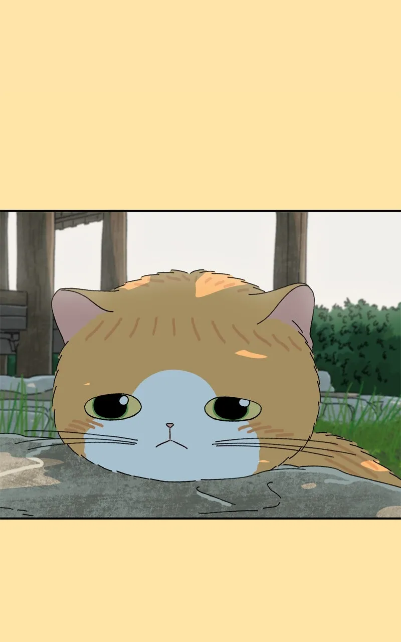 Tata the Cat Chapter 24 page 57 - 