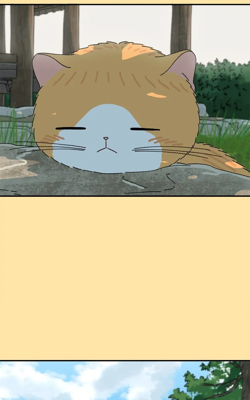 Tata the Cat Chapter 24 page 58 - 