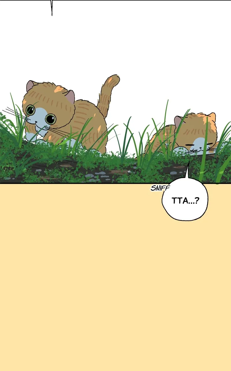 Tata the Cat Chapter 24 page 68 - 
