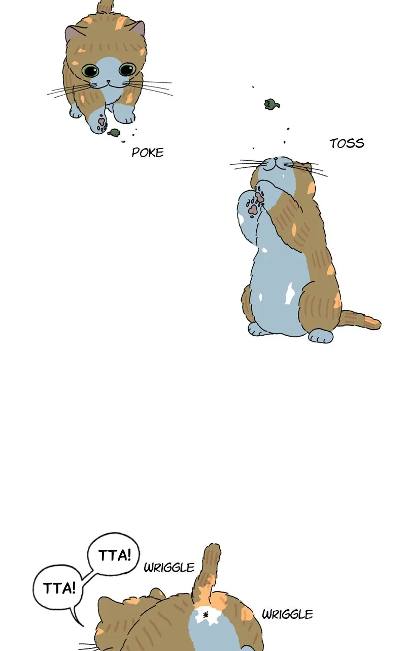 Tata the Cat Chapter 25 page 2 - 