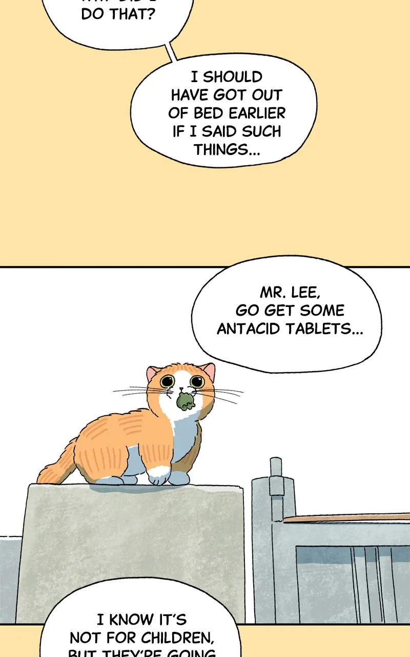 Tata the Cat Chapter 25 page 16 - 
