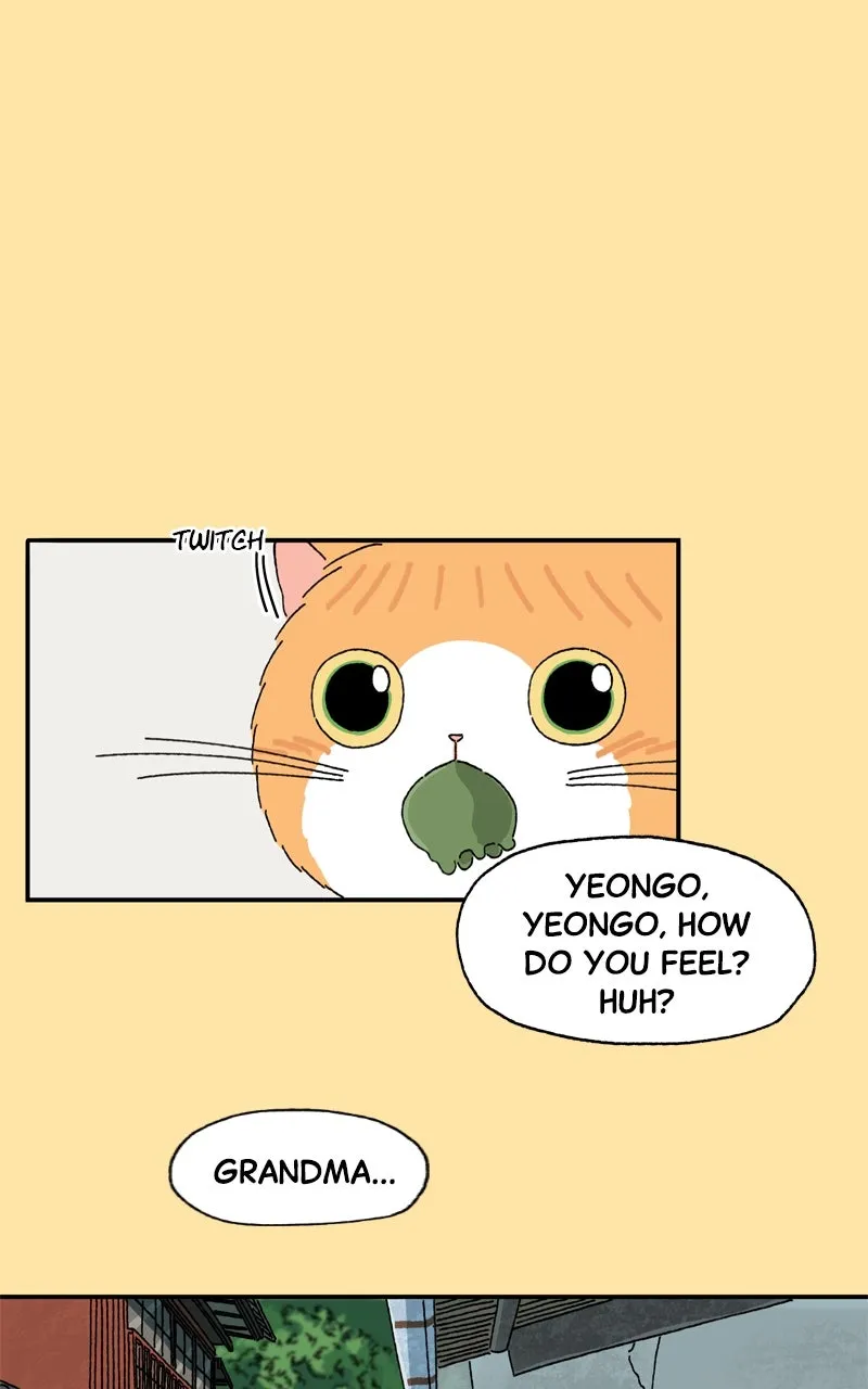 Tata the Cat Chapter 25 page 18 - 