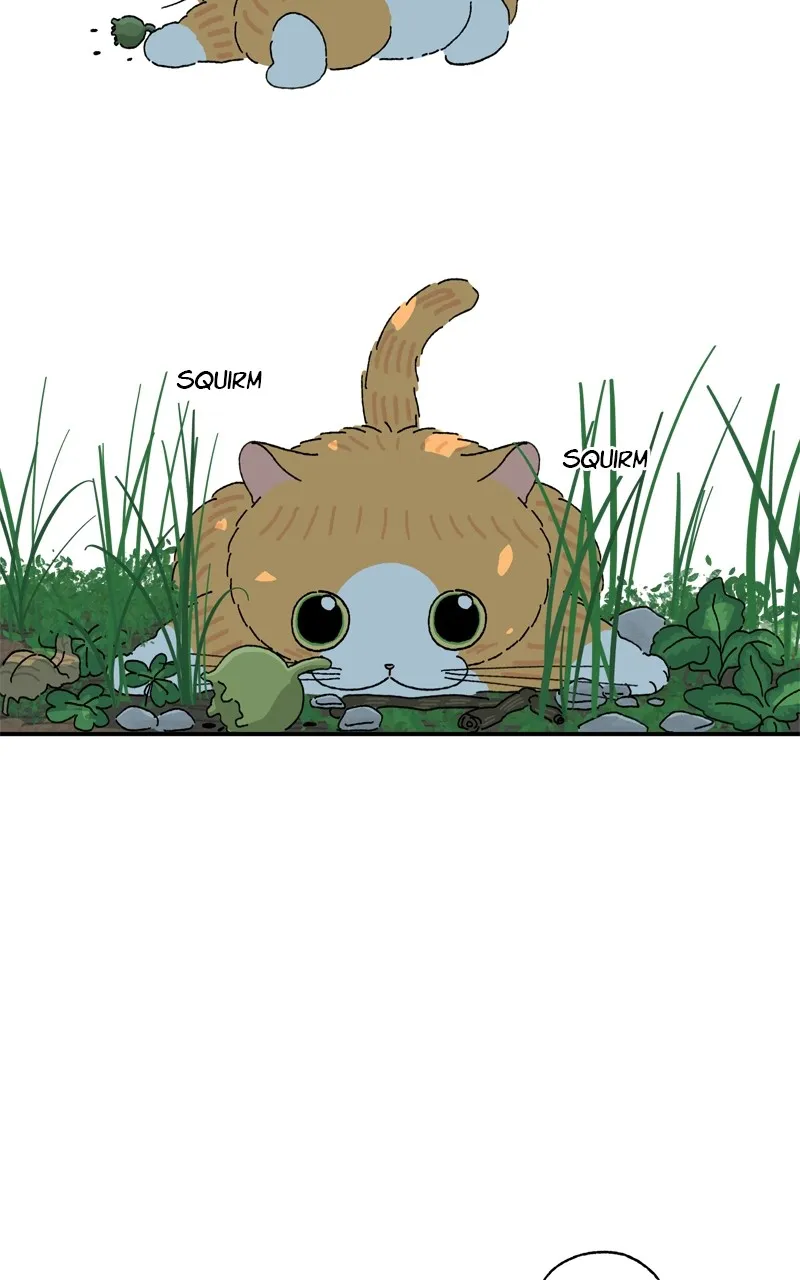 Tata the Cat Chapter 25 page 3 - 