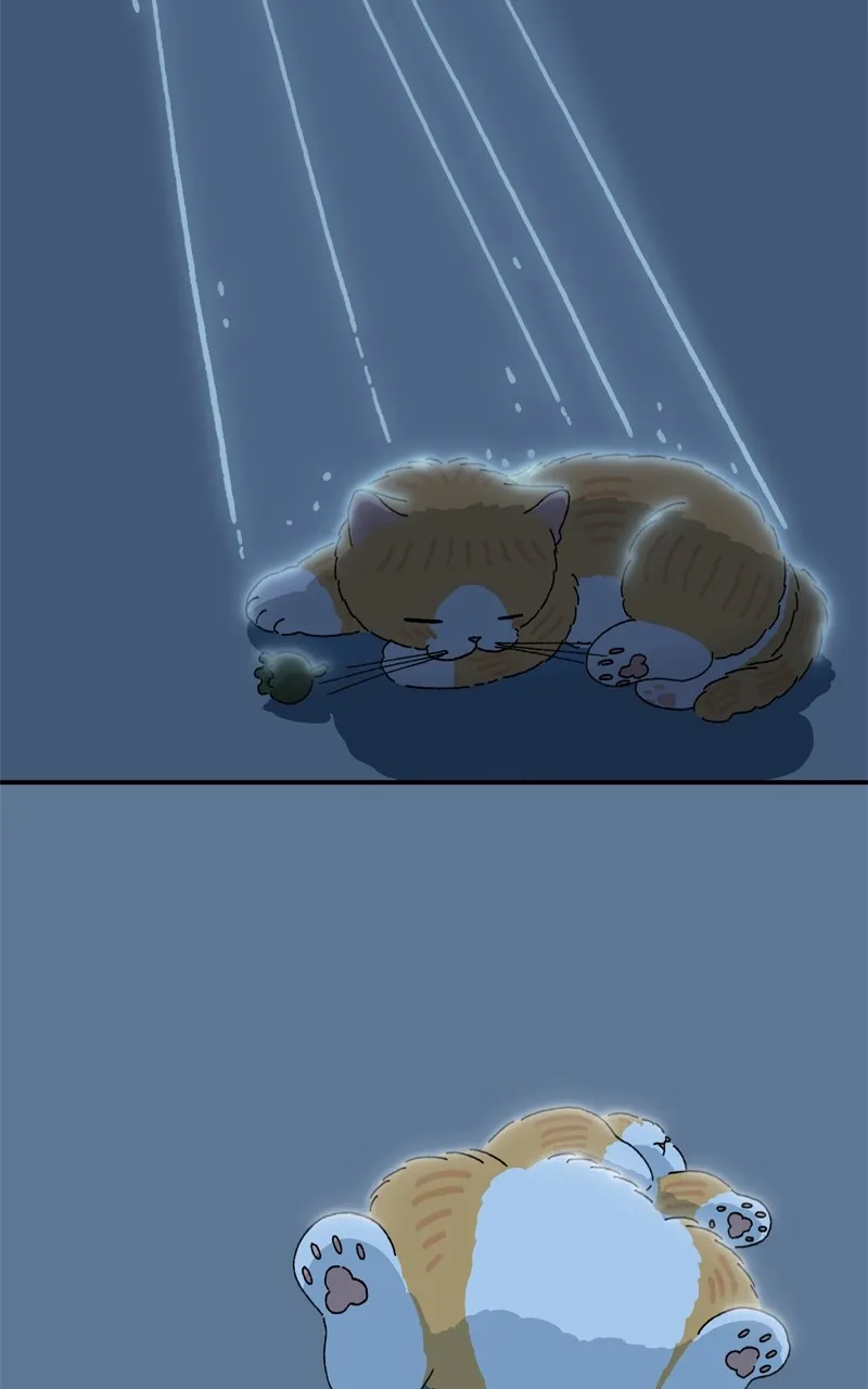 Tata the Cat Chapter 25 page 27 - 