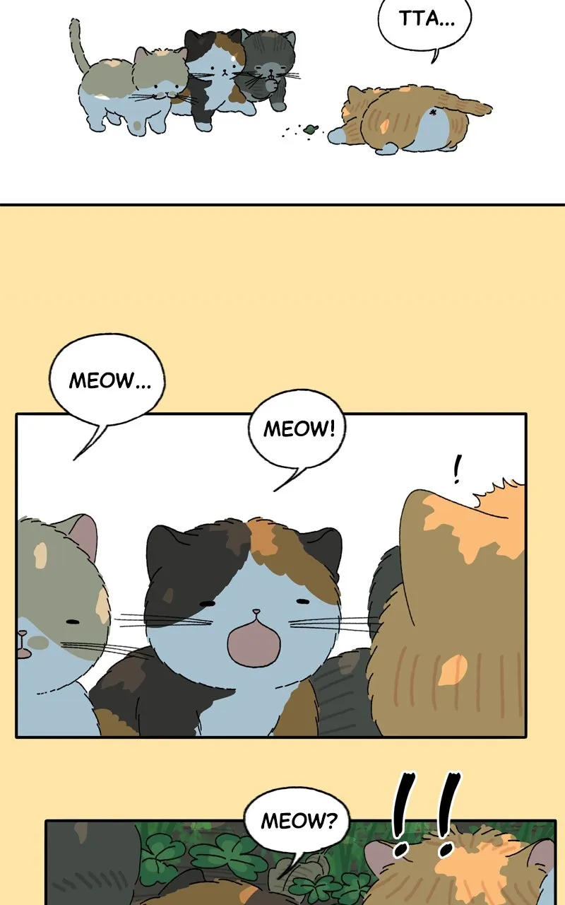 Tata the Cat Chapter 25 page 4 - 