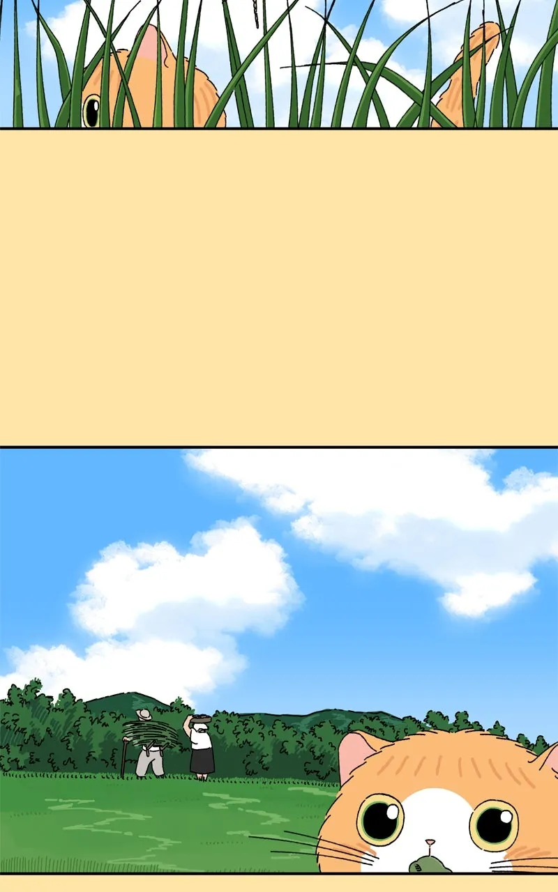Tata the Cat Chapter 25 page 34 - 