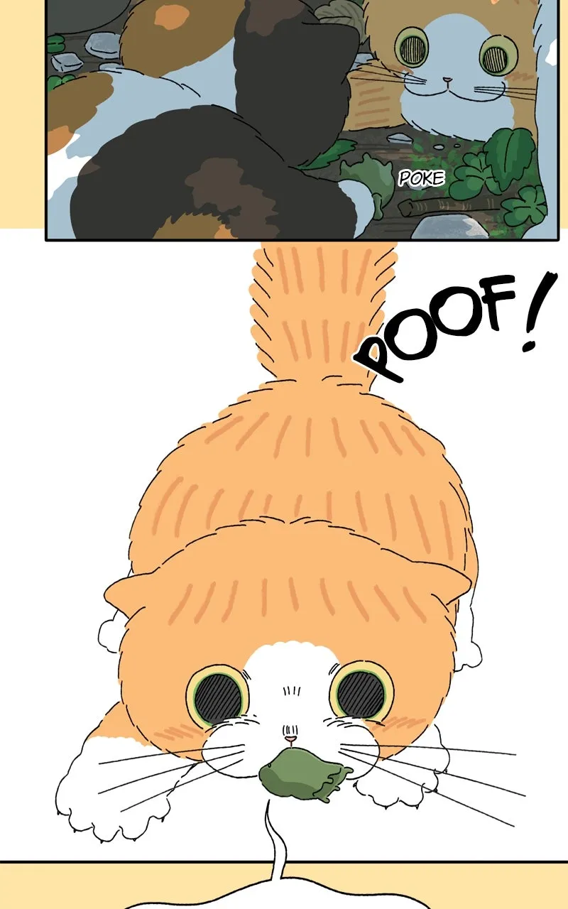 Tata the Cat Chapter 25 page 5 - 
