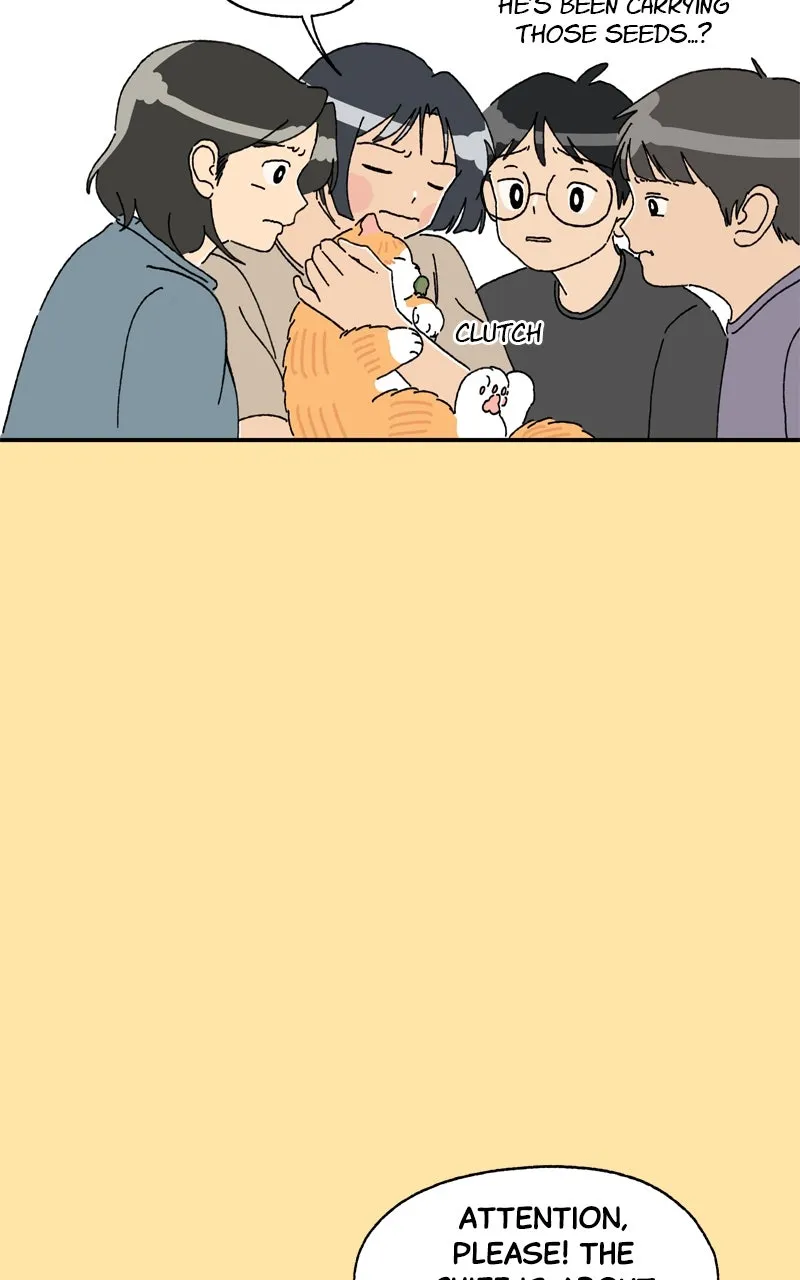 Tata the Cat Chapter 25 page 43 - 