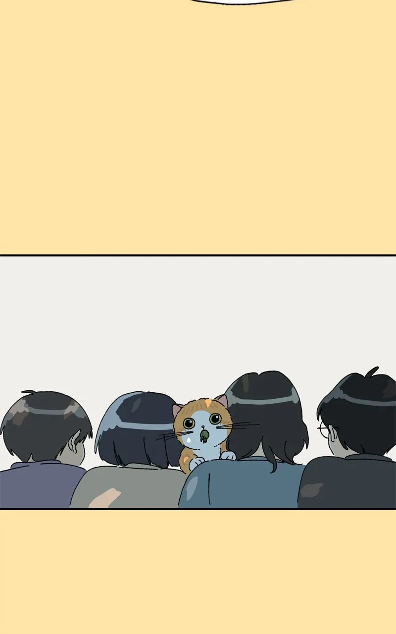 Tata the Cat Chapter 25 page 49 - 