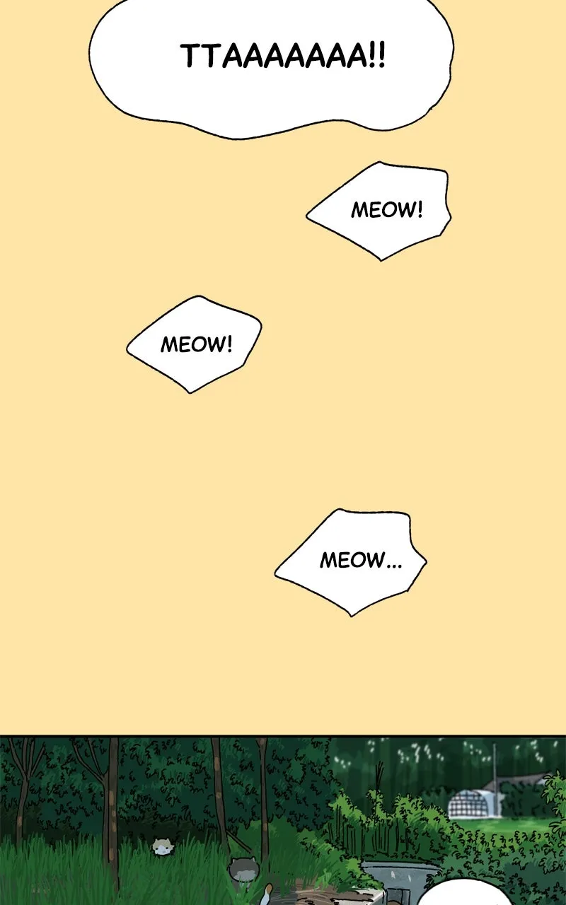 Tata the Cat Chapter 25 page 6 - 