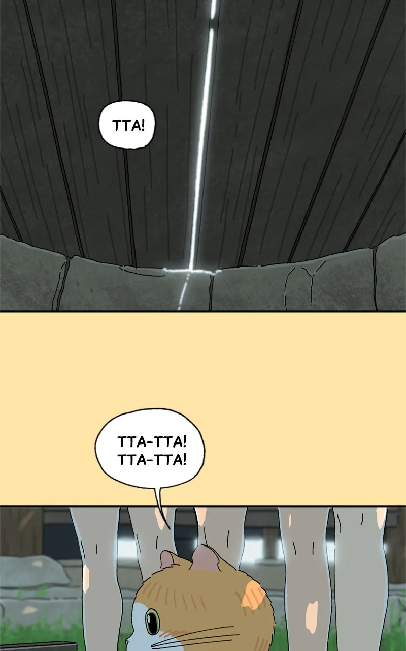 Tata the Cat Chapter 25 page 56 - 