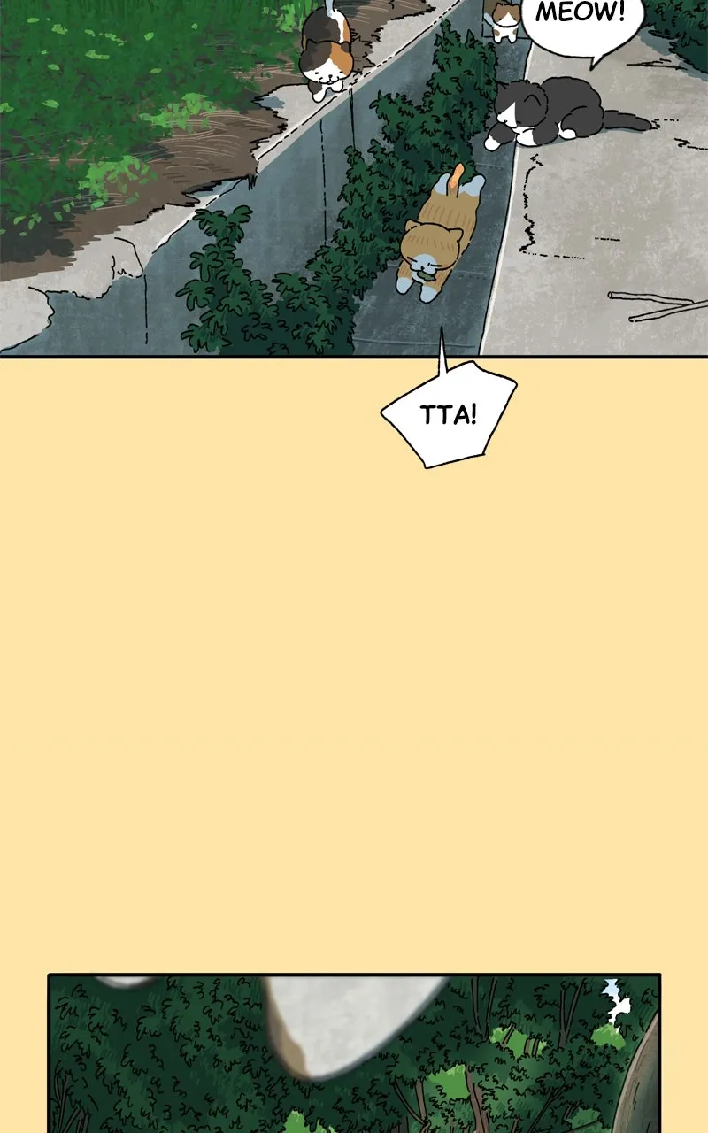 Tata the Cat Chapter 25 page 7 - 