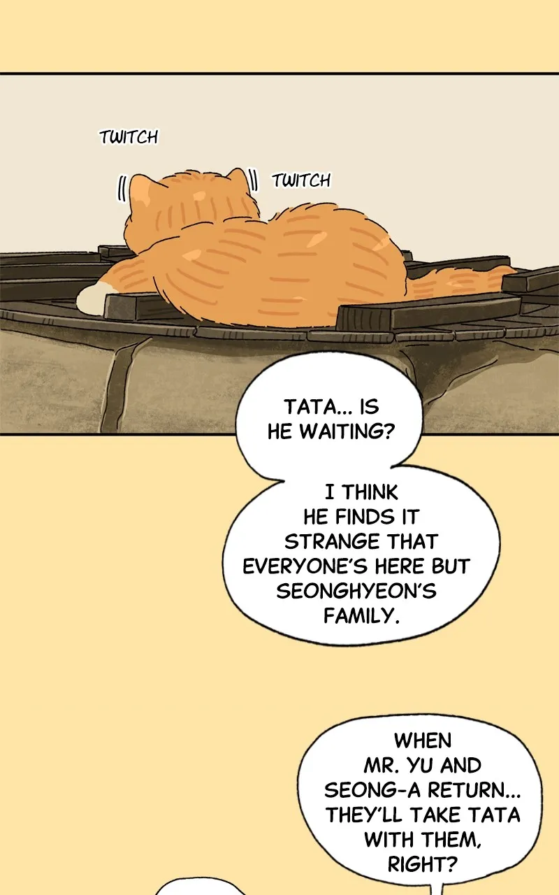 Tata the Cat Chapter 25 page 62 - 