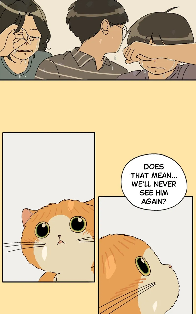 Tata the Cat Chapter 25 page 64 - 