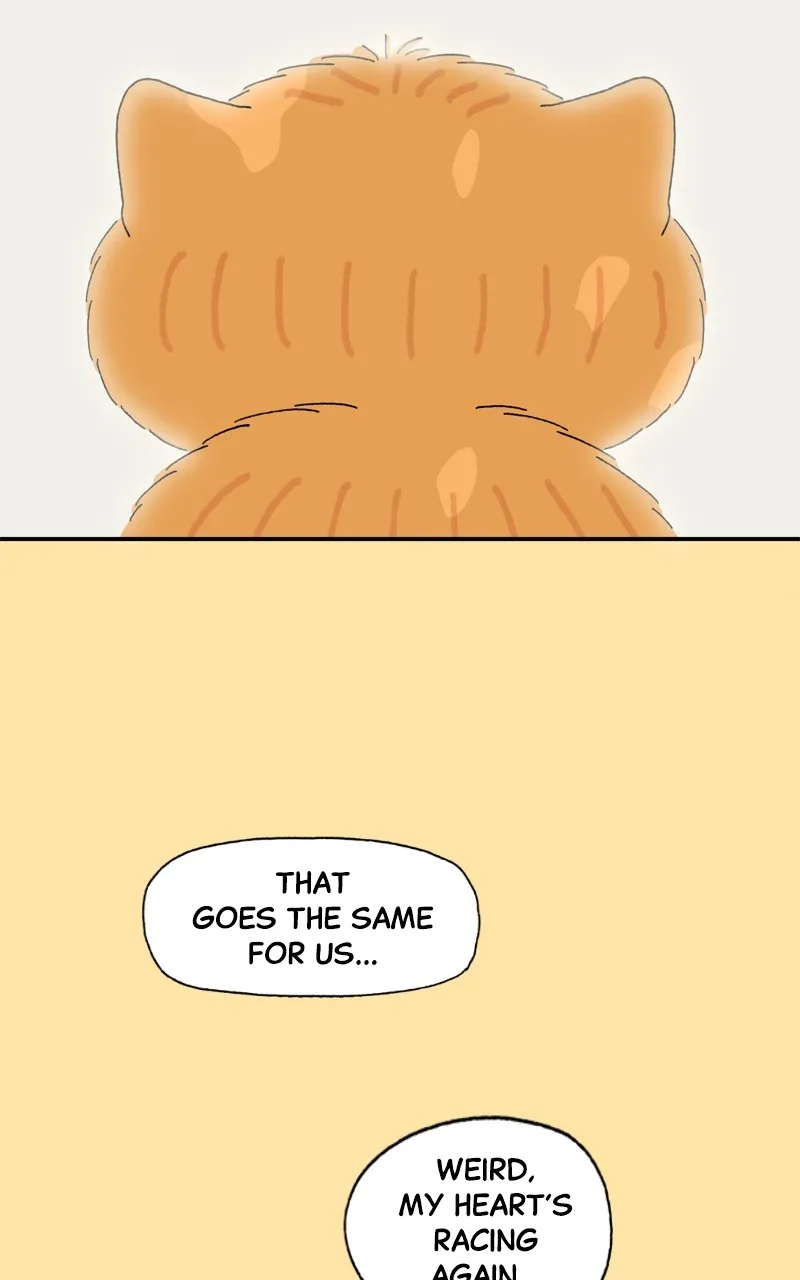 Tata the Cat Chapter 25 page 66 - 