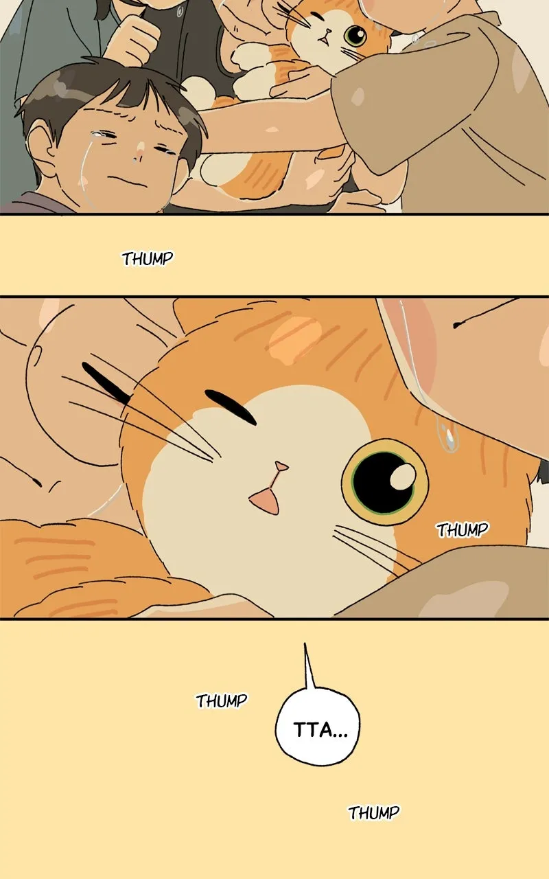 Tata the Cat Chapter 25 page 69 - 