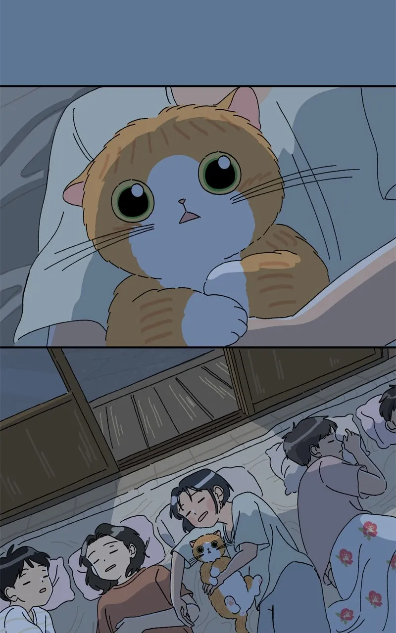 Tata the Cat Chapter 25 page 72 - 