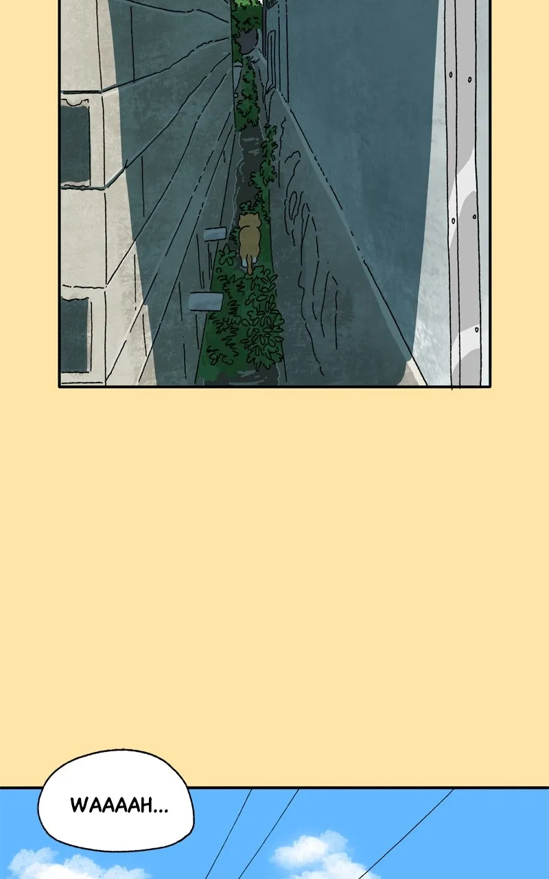 Tata the Cat Chapter 25 page 9 - 