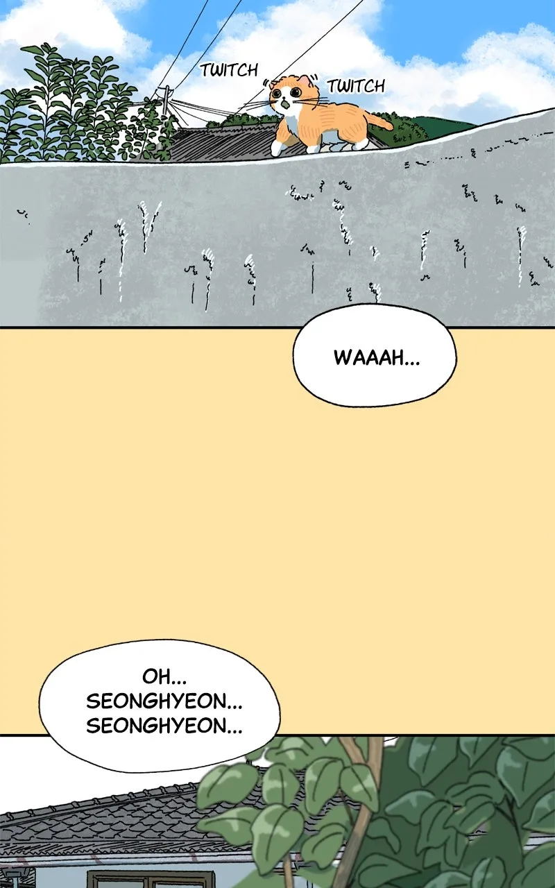 Tata the Cat Chapter 25 page 10 - 