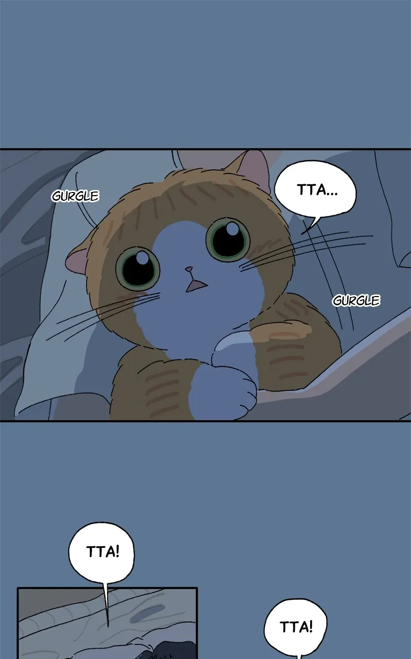 Tata the Cat Chapter 26 page 1 - 