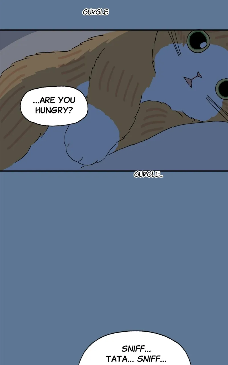 Tata the Cat Chapter 26 page 11 - 