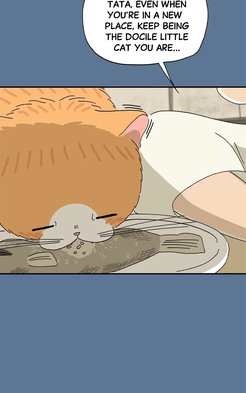 Tata the Cat Chapter 26 page 12 - 