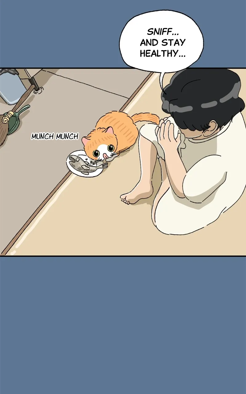 Tata the Cat Chapter 26 page 13 - 