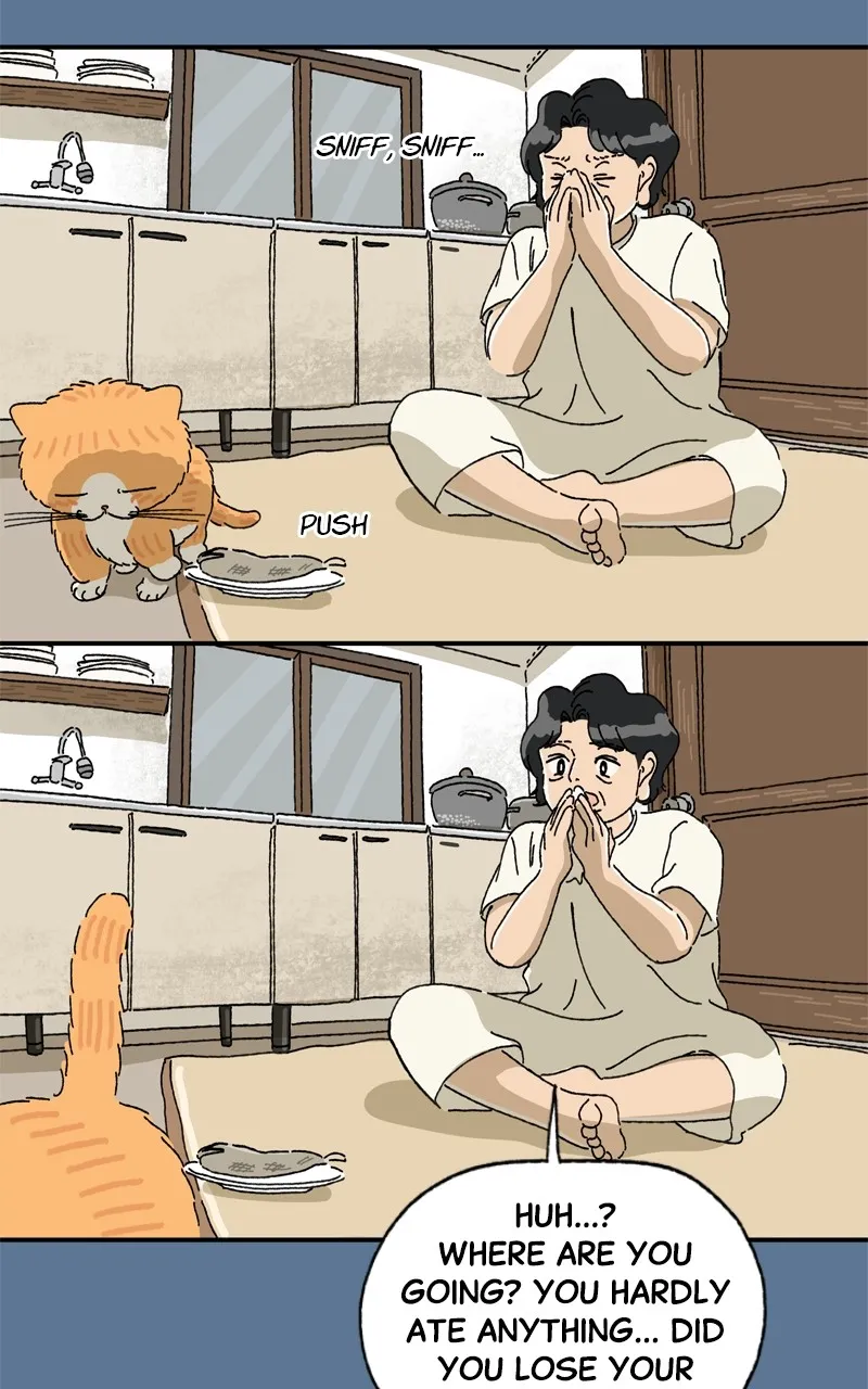 Tata the Cat Chapter 26 page 15 - 