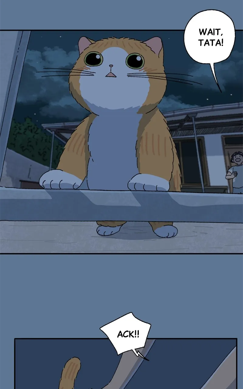 Tata the Cat Chapter 26 page 24 - 