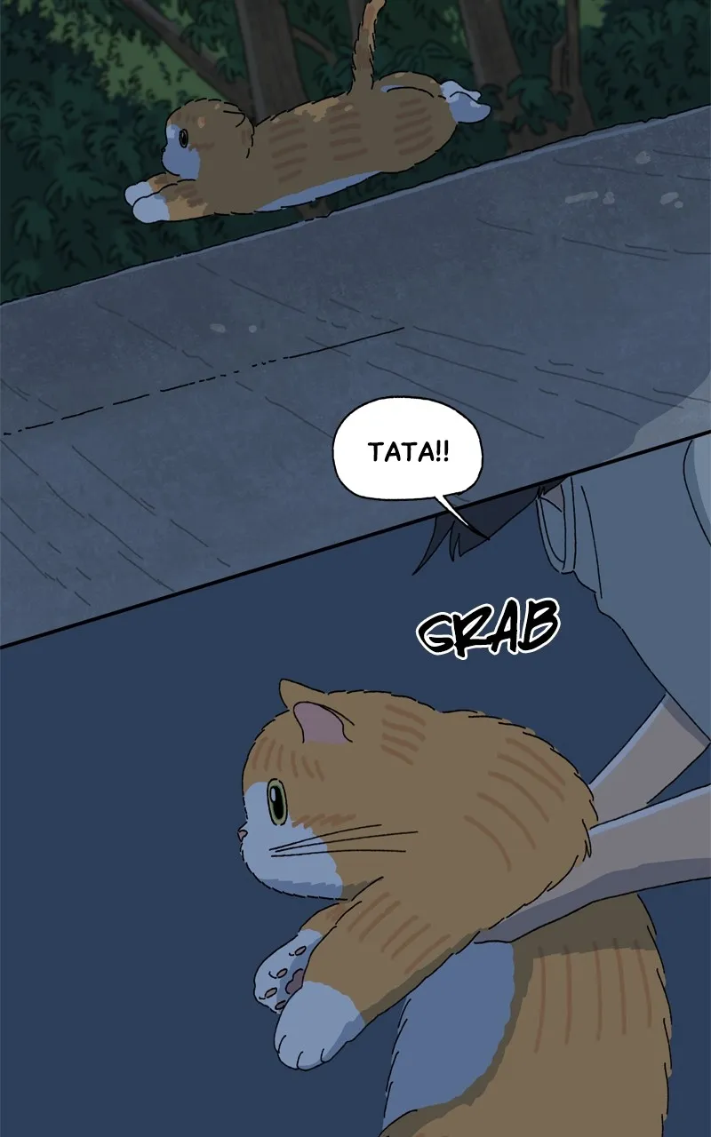 Tata the Cat Chapter 26 page 26 - 